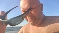 Bałtycki morświn był widziany w Cisowie