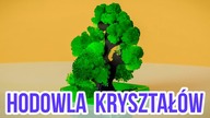 EKSPERYMENT - hodowla KRYSZTAŁÓW - EUREKA