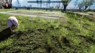Farmers Life Czas Wejść w Buty Rolnika Czyli Gram w Symulator Farmera