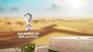 Senegal vs Holandia - 21. 11. 2022
