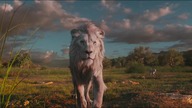 Mufasa: Król Lew (2024) 4K - Taka podrywa Sarabi
