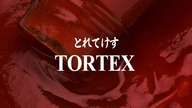 Terka evangelion