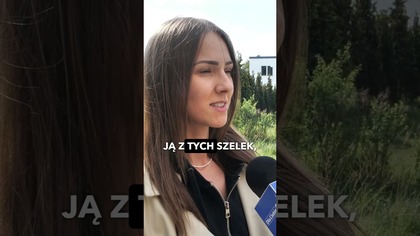 Dziki zaatakowały psa w Jaworznie.  To kolejny atak na Osiedlu Stałym.  #dziki #pies