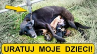 Jej oczy błagały o pomoc, jej dzieci miały kłopoty!