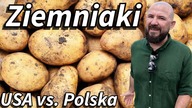 USA vs.  Polska - Ziemniaki