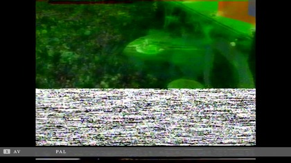 Dis..Rynkowaki Koncert.  VID-1697248967250