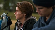 The. Fault. in. Our. Stars. Gwiazd. naszych. wina. 2014. Lektor.pl