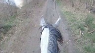 JEDZIEMY W PIERWSZY TEREN W NOWEJ STAJNI + KĄPIEMY KONIE 1.  RAZ W TYM ROKU
