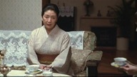 [1995] Godzilla kontra Destruktor.  Lektor