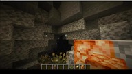 Fireflies consist of only one pixel #game #minecraft #gaming #Short #Shorts