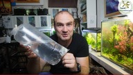 Pierwsi mieszkańcy w 200l akwarium.