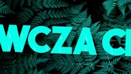 Mrówki  Kaszanka i Pan Stefan 