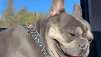 Psychiczny podkład do filmiku: