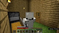 Minecraft Hardcore|#3