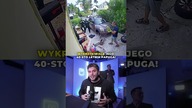 Głośny krzyk o pomoc