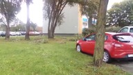 Skutki wczorajszej wichury na osiedlu