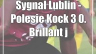 Sygnał Lublin - Polesie Kock 3:0.  Brillant jest jak brylant [zdjęcia]