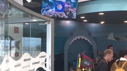 Sealife (November 2024)