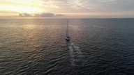Pelagos śr&oacute;dziemnomorskie sanktuarium waleni