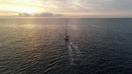 Pelagos śr&oacute;dziemnomorskie sanktuarium waleni