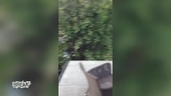 Fail Compilation Break's Best