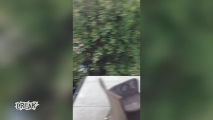 Fail Compilation Break's Best