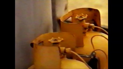 Luz . Pustynny Jastrząb VID-1714374764285