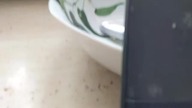 Kolejny telefon do Katowic skorumpowanego Cieszyna przez skorumpowany millor.pl konczakowskich