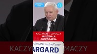 (subskrybuj) HIT! Kaczyński tłumaczy jak działa gospodarka...  #shorts