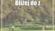Bliżej do zmian na Skwerze Niepodległości.  Poprawią alejki