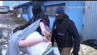 Policja likwiduje plantację MARIHUANY wartą ponad MILION ZŁOTYCH