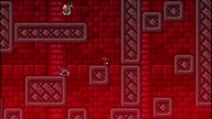 Mario Forever Magic Land World 8 Final SakuraMotchi 2020