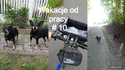 Ostatni dzień urlopu