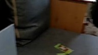 Mundial 2026! Karty Panini! Wkładamy Karty do klasera, otwieramy paczki! Q&A z Sarmatą! Dyskusje!