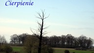 Cierpienie