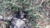Wojna Rosja-Ukraina Jak się umiera rosjanom na wojnie w agonii ( patrz opis)