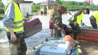 Powódź: Straż dla zwierząt ratuje koty w Kozanowie