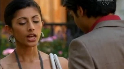 12.  Royal. Pains. S01E12