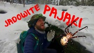 Beskid Mały - JADOWITE PAJĄKI w jaskini!!