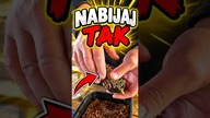 Jak zaczniesz tak nabijać METODE to złowisz więcej! NAUKA FEEDERA-WĘDKARSKI COACH #method #feeder