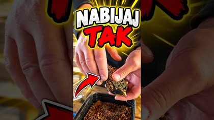 Jak zaczniesz tak nabijać METODE to złowisz więcej! NAUKA FEEDERA-WĘDKARSKI COACH #method #feeder