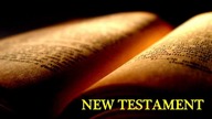 The Romans book (Nre Testament)