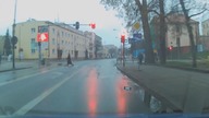 Dzikie kaczki przechodzace przez jezdnie-pasy
