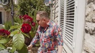 Makłowicz bajo jajo
