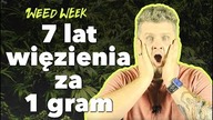 Modelka siedzi za 1 gram | Ksiądz piecze ciasteczka z marihuaną | #WeedWeek 2