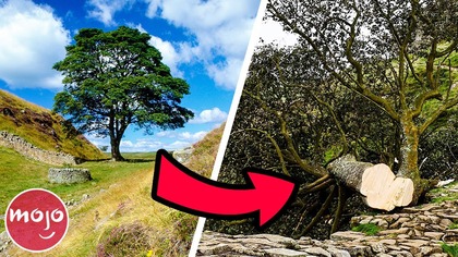 Top 30 Natural Wonders That Dont Exist Anymore