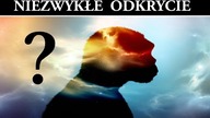 Tajemniczy Gatunek Człowieka - Homo Luzonensis