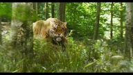 RRR (Rise Roar Revolt) (2022)