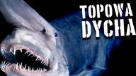 10 Niewyjaśnionych tajemnic morza [TOPOWA DYCHA]