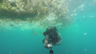 Przykry widok w oceanie